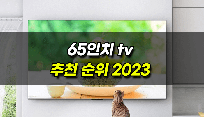 65인치-티비